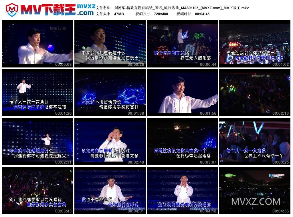 刘德华-情歌有没有唱错_国语_流行歌曲_MA301105
